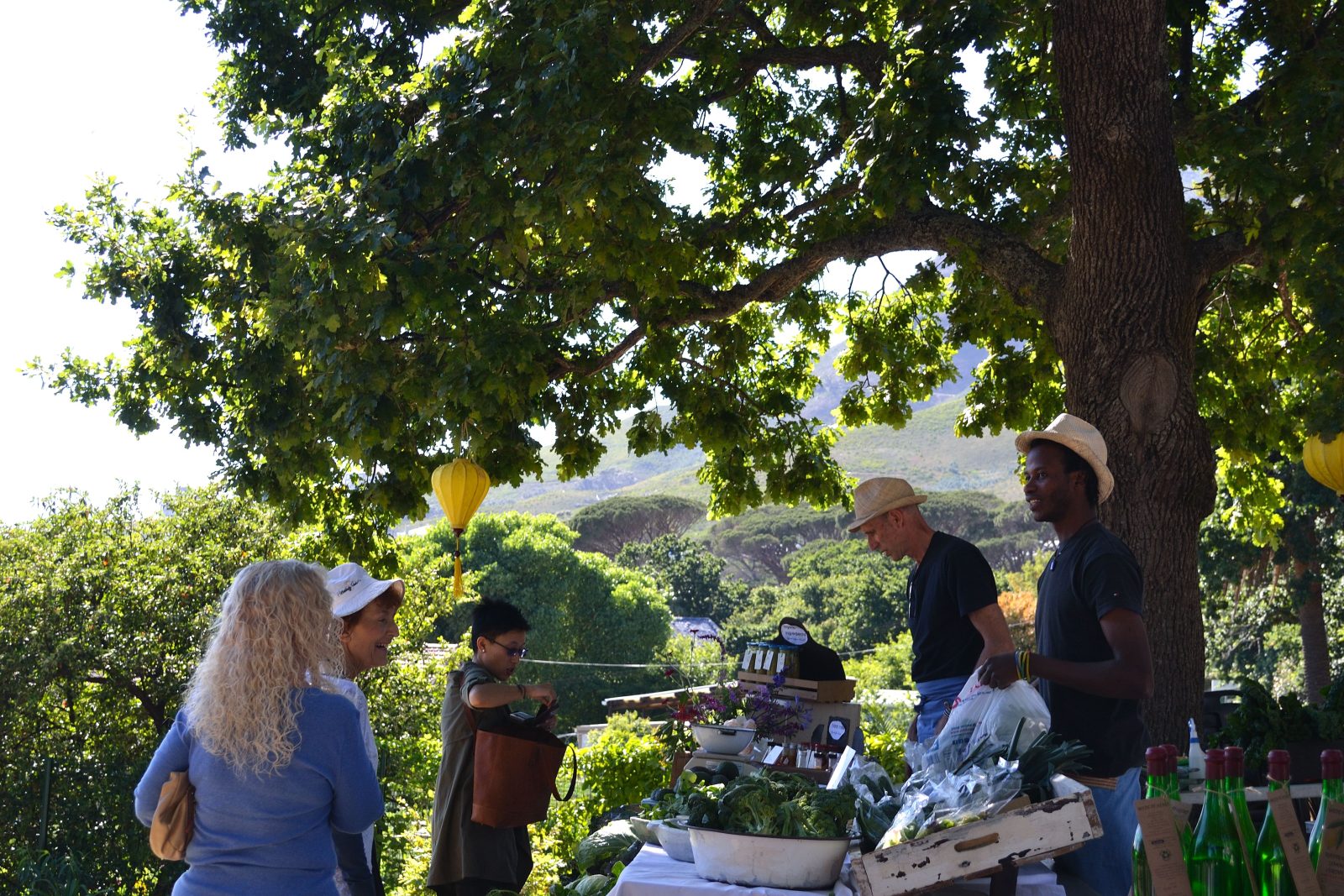Local food producers and visitors beneath a tree at Oranjezicht City Farm Market